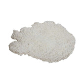 Holten Meat Breaded Pork Loin Fritters, 7 Ounce -- 24 per case