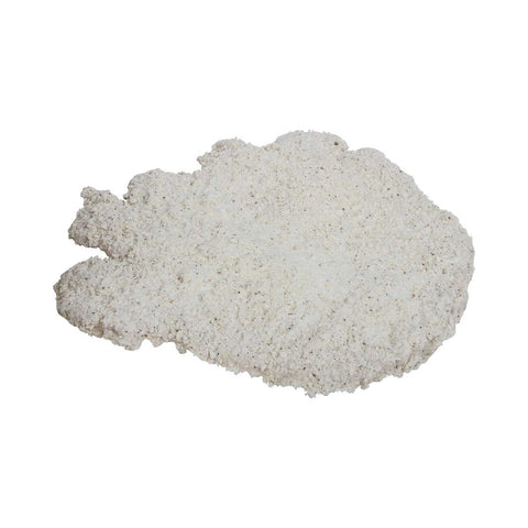 Holten Meat Breaded Pork Loin Fritters, 7 Ounce -- 24 per case