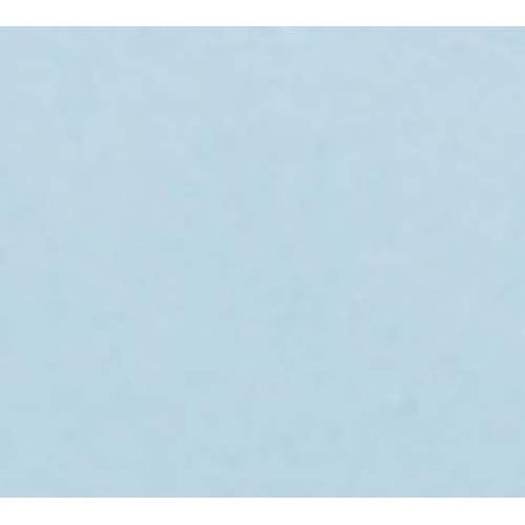 Cambro Round Sky Blue Camtray, 11 inch -- 12 per case.