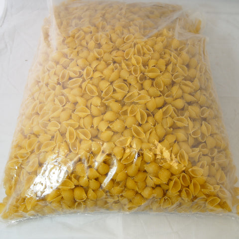 Pasta Shell Medium