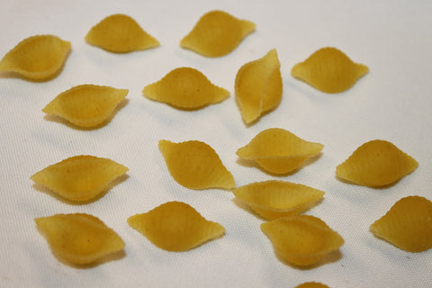Nugget® PASTA MEDIUM SHELLS