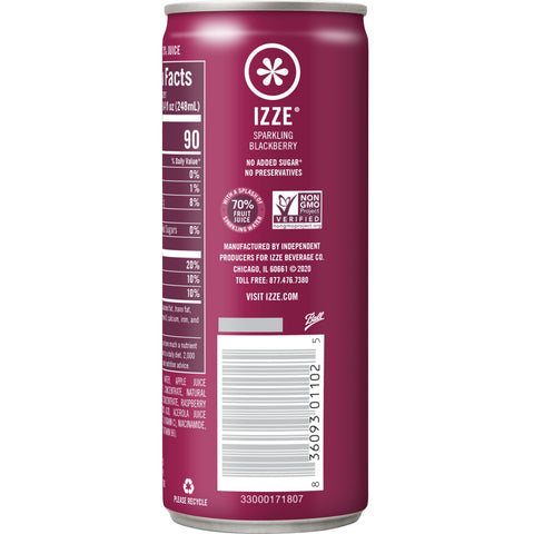 Izze JUICE SPARKLING BLACKBERRY CAN