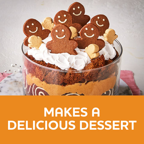Pudding Mix Butterscotch Instant